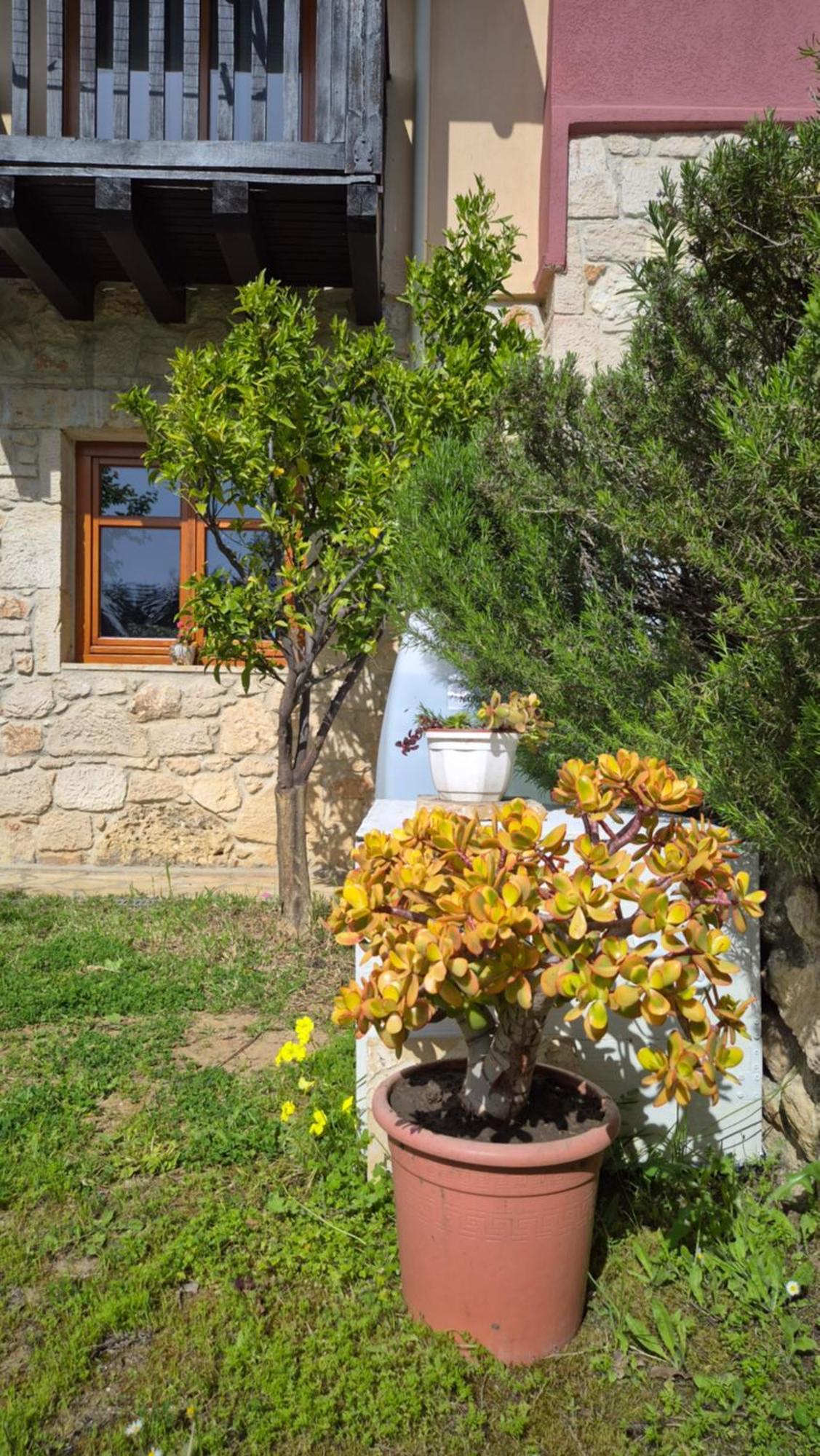 Casa vacanze Alexander Dion House