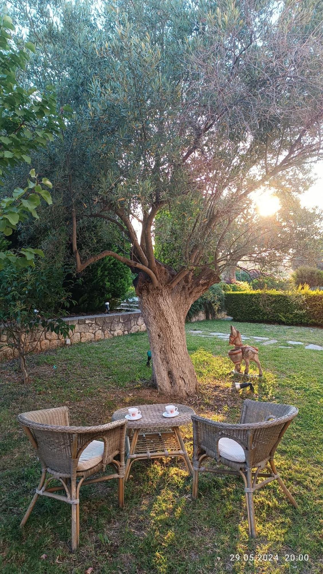 Holiday home Alexander Dion House Afytos