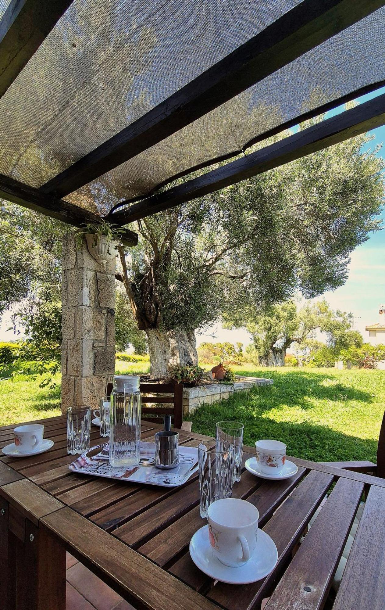 Holiday home Alexander Dion House Afytos
